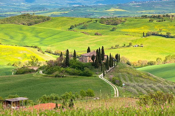 istock Farmhouse in Tuscany 151631606