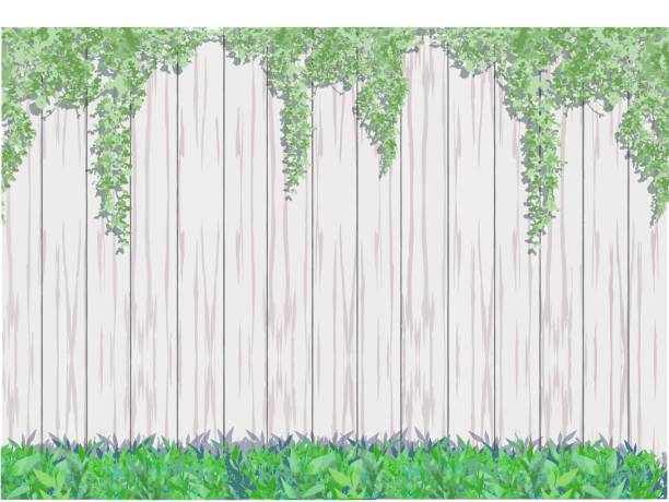 bluszcz i trawa pokryta drewnianą tapetą ogrodzeniową, oprawiona ilustracja. - ivy backgrounds wood fence stock illustrations