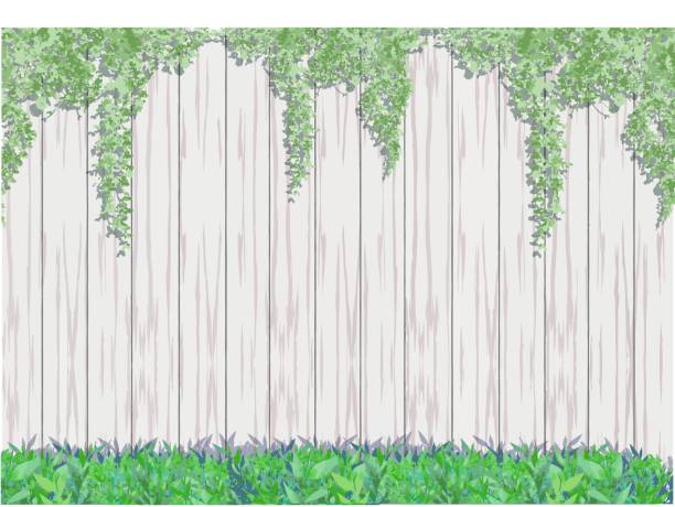 ilustrações de stock, clip art, desenhos animados e ícones de ivy and grass covered wooden fence wallpaper, framed illustration. - ivy backgrounds wood fence