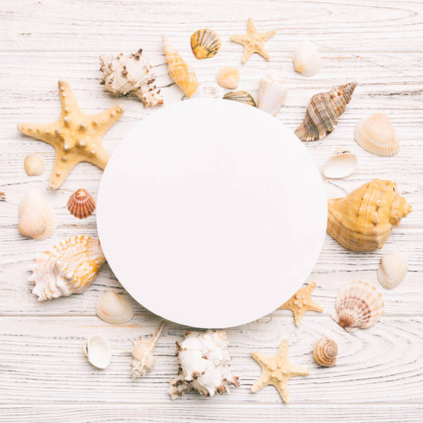 istock Summer time concept with blank greeting card and blank white paper on colored background. Seashells from ocean shore in the shape of frame separated with space for text top view 1516341067