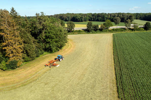 istock Tractor preparing hay for harvesting 1516343772