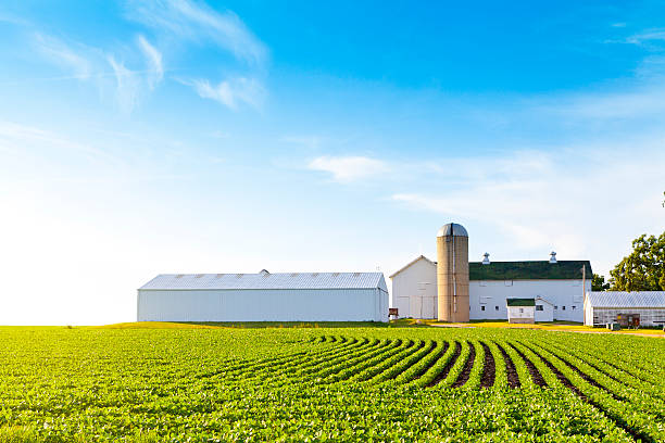 istock American Farmland 151635296