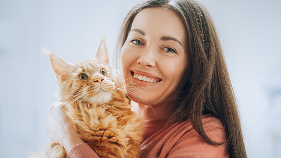 Portrait of a Beautiful Young Female Holding a Red Maine Coon Pet. Warm Casual Footage of a Young Happy Female Cat Owner Looking at Camera and Smiling