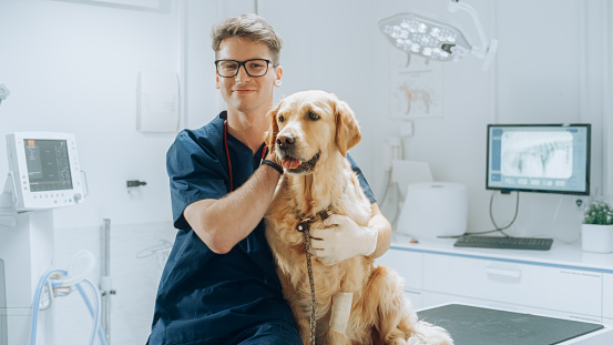 Retrato de un joven veterinario con gafas acariciando a una noble mascota Golden Retriever sana en una clínica veterinaria moderna. Hombre guapo mirando a la cámara y sonriendo junto con el perro. Material de archivo estático photo