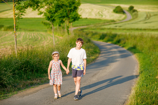 School kid boy and little sister, preschool girl playing together outdoors, green fields.. Two happy children play and having fun sunny summer day. Siblings in love. Lovely sister and brother