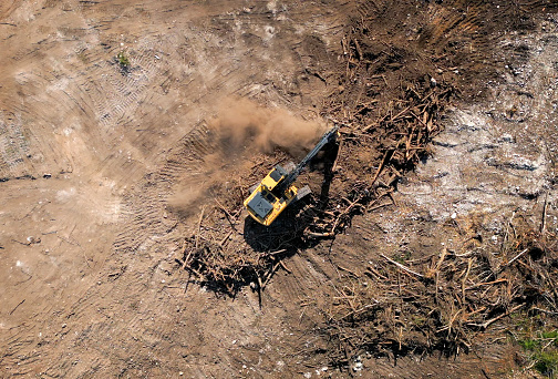 Aerial top view of the yellow excavator digs the ground around with the tree branches on the construction site at sunset. Deforestation for housing. High quality photo