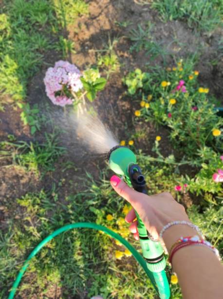 istock watering flower garden 1516392536