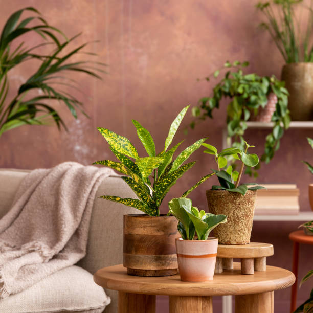 istock Stylish composition of creative spacious living room interior with plants, sofa, coffee table, rattan chest of drawers and stylish accessories. Botanical space of a cozy room. Brown walls. Template. 1516405544