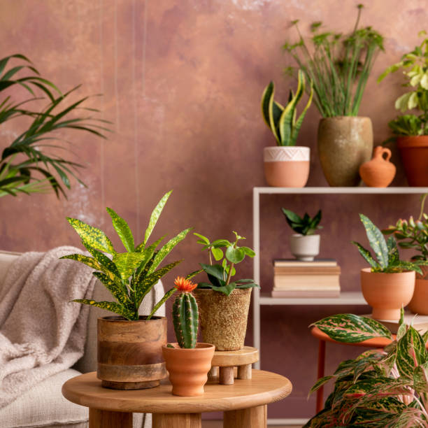 istock Stylish composition of creative spacious living room interior with plants, sofa, coffee table, chest of drawers and stylish accessories. Botanical space of a cozy room. Brown walls. Template. 1516405548
