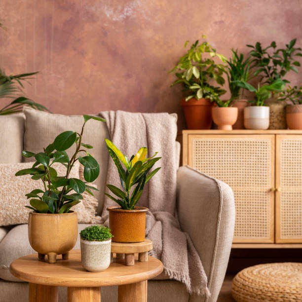 istock Stylish composition of creative spacious living room interior with plants, sofa, coffee table, rattan chest of drawers and stylish accessories. Botanical space of a cozy room. Brown walls. Template. 1516405555