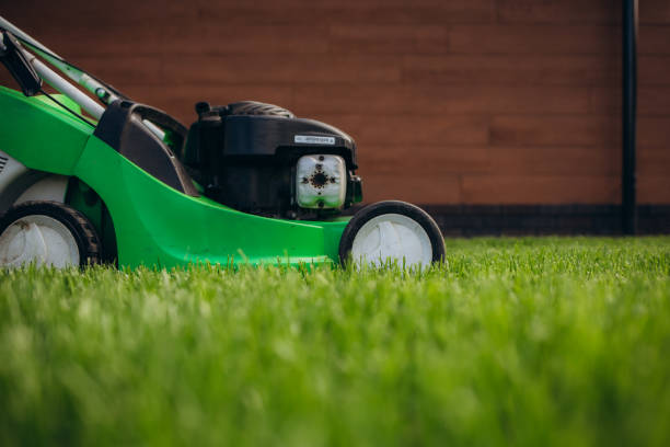 istock Close up of mower cutting the grass. 1516410065