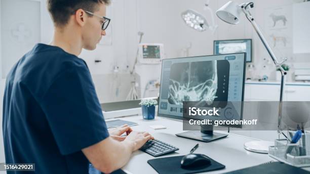 Veterinary Stock Photo Using Computer Veterinary Clinic Specialist Working On A Desktop Computer Using A ...