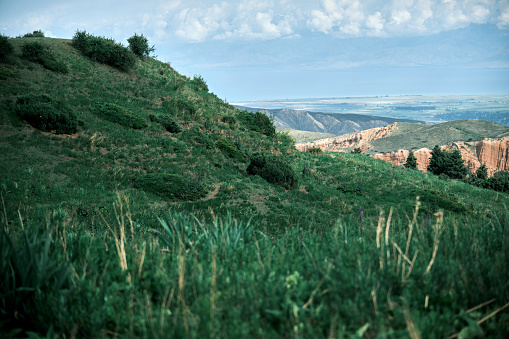 High angle view of mountain ridge in summer