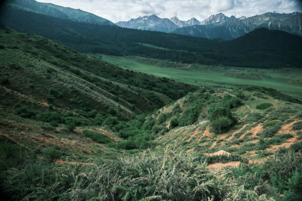 istock Wide high angle view of mountain valley 1516438718