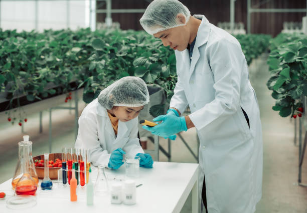 A scientist father guides his daughter in farming using a pH meter. Measuring acid-base levels in water to ensure right conditions for strawberry growth. Combining expertise with technological tools. un padre científico guía a su hija en la agricultura usando un medidor de ph. medir los niveles ácido-base en el agua para garantizar las condiciones adecuadas para el crecimiento de la fresa. combinando experiencia con herramientas tecnológicas.