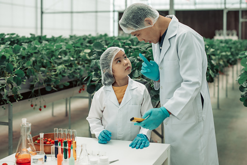 A scientist father guides his daughter in farming using a pH meter. Measuring acid-base levels in water to ensure right conditions for strawberry growth. Combining expertise with technological tools.