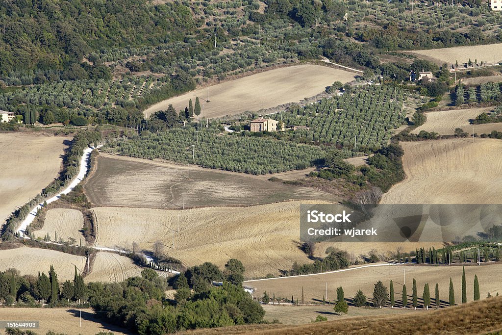 landscape of the  Tuscany The landscape of the  Tuscany. Italy Agricultural Field Stock Photo