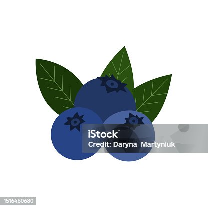 istock Vector blueberry . Natural fresh ripe tasty blueberries on white. Vector illustrations of tasty bilberries, blueberries or huckleberries. 1516460680