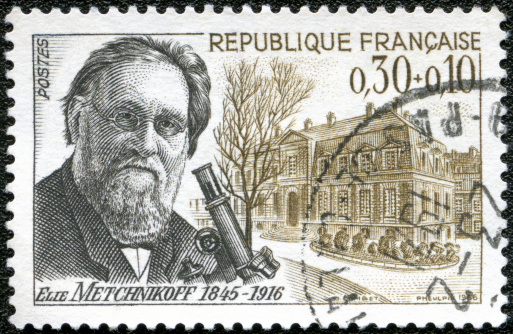Postage stamp France 1966 printed in France shows Ilya Ilyich Mechnikov (1845-1916) and Pasteur Institute, circa 1966