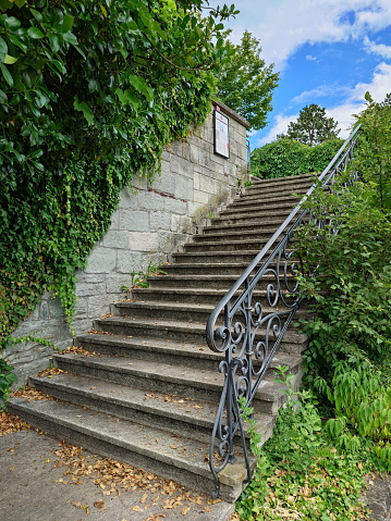 Outdoor concrete stairway with forger decorative iron handrails and ivy covered wall. Sunny summer day, no people.