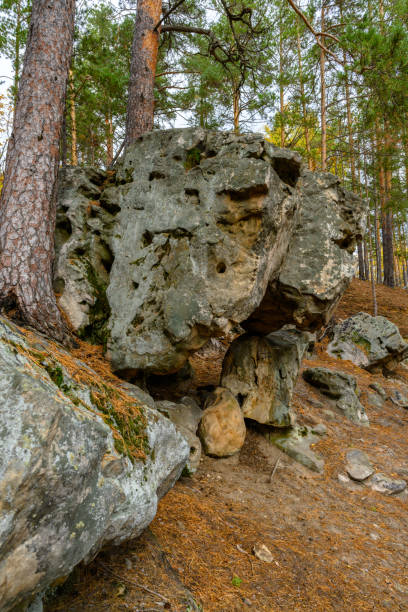 istock Landscape with rock in forest. 1516478725