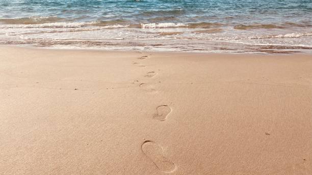 istock Footprint in the sand. 1516479799