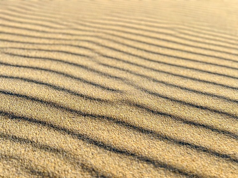 Natural curved background of a sandy beach by the Baltic Sea. Narrow focus zone.