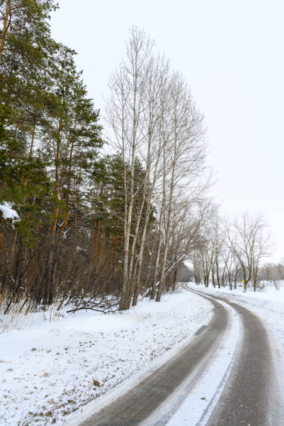 istock Snowy winter road in a mountain forest. 1516499627