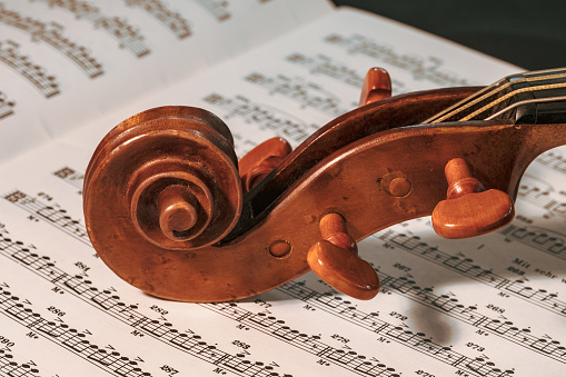Violin detail - closeup