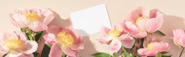 istock Peonies on pink background with copy space. Abstract natural floral frame layout with text space. Romantic feminine composition. Wedding invitation. International Women day, Mother Day concept 1516512051