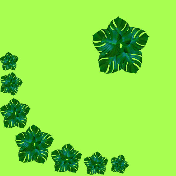 istock Green palm leaves pattern for nature concept,tropical leaf on green background 1516520387