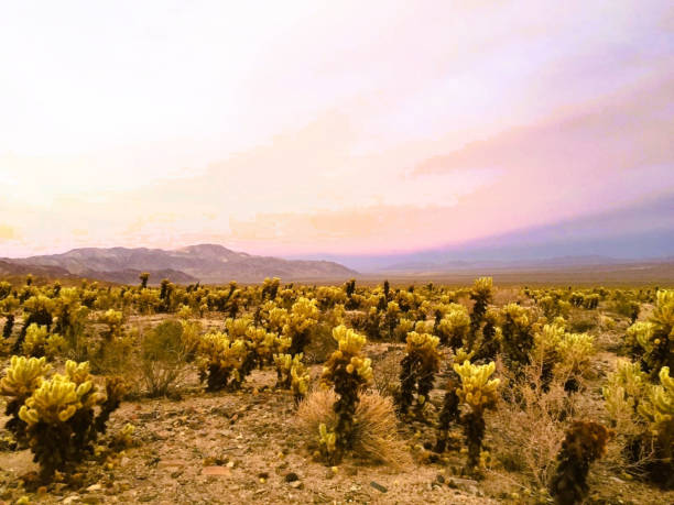 istock Trip to California 1516535063