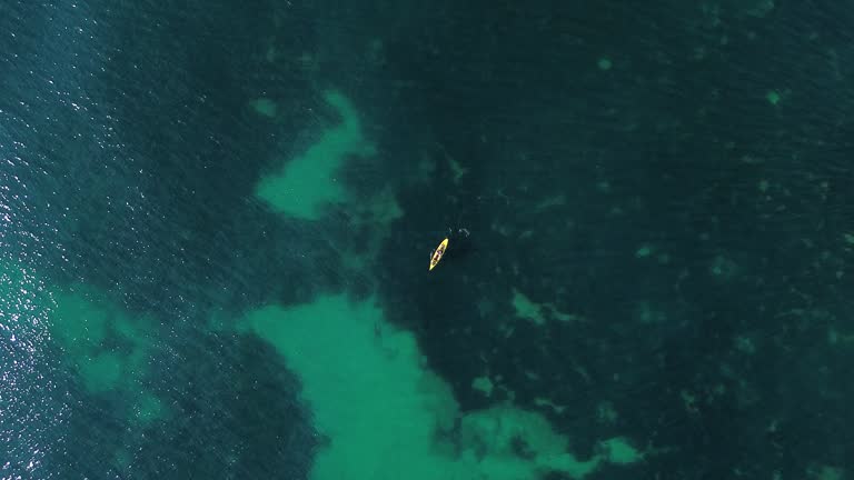 Aerial view of kayak fishing at seascape