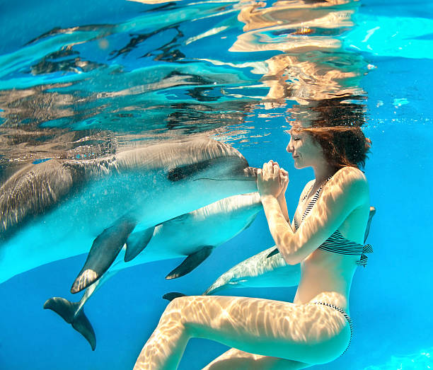 Girl and dolphin stock photo