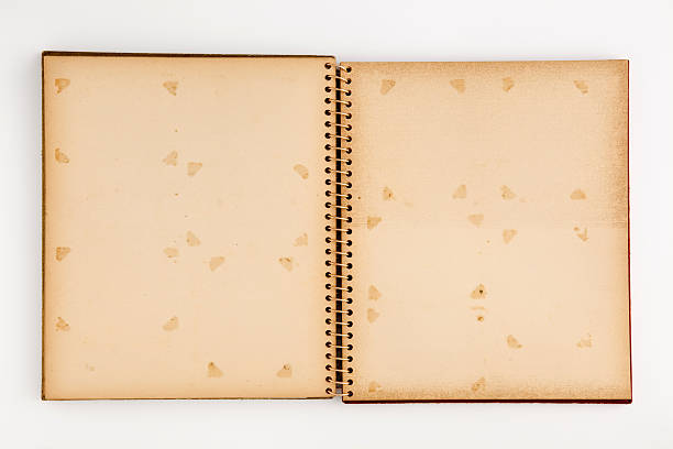 istock Old Photo Album 151655092