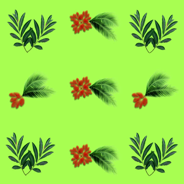 Green palm leaves pattern for nature concept,tropical leaf on green background