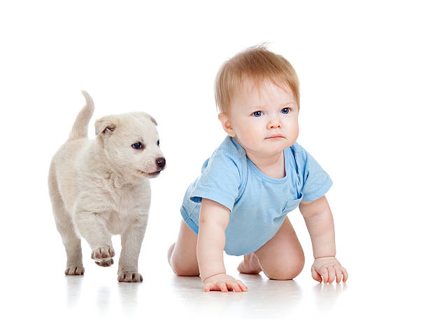 istock cute child boy playing with dog puppy 151658687