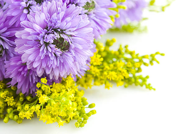 istock beautiful bouquet of purple 151659698