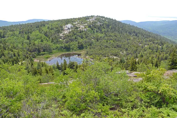 Photo of Picturesque mountain landscape with small lake in Acadia National Park. State of Maine. USA