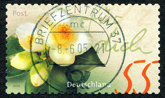 Germany stamp: Blooming camellia