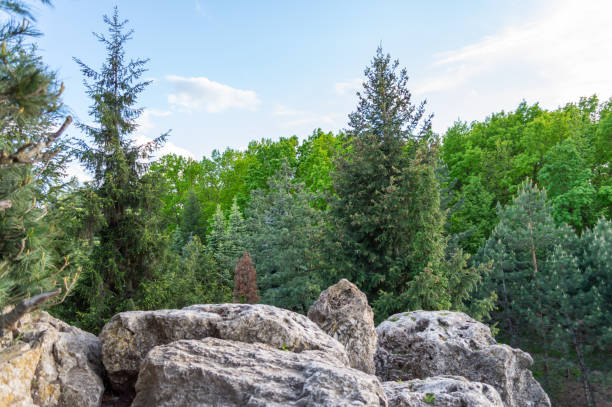 Zhangjiajie National Forest Park in China observed during experiential trip