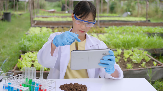 Asian female botanist comparing results of soil test with a digital tablet in the scientific process in an organic vegetable farm.