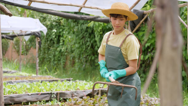 istock Farmer preparing the soil for planting. 1516613970