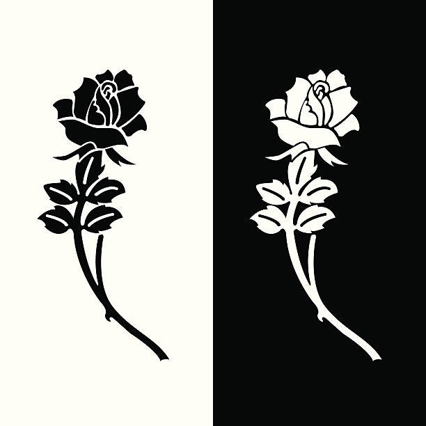 bildbanksillustrationer, clip art samt tecknat material och ikoner med eulogy rose - blommor grav