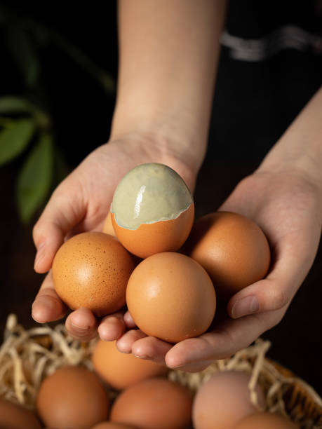 huevos sólidos, solidificados mezclando álcali comestible y líquido de huevo, comida tradicional china, huevos en conserva - picking a fight fotografías e imágenes de stock