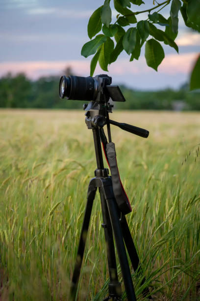 istock Photo camera on a tripod in the field 1516630086