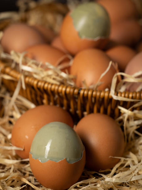 huevos sólidos, solidificados mezclando álcali comestible y líquido de huevo, comida tradicional china, huevos en conserva - picking a fight fotografías e imágenes de stock