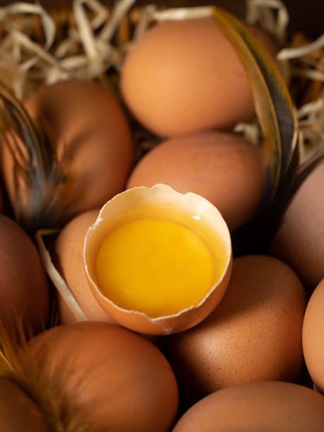 Eggs inside chicken coop, farm interior scene, fresh eggs and thatch