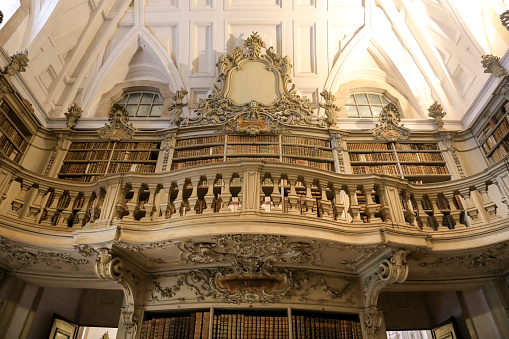 Mafra, Lisbon, Portugal- November 17, 2022: Beautiful and Colossal Mafra Palace Library with its exemplary books
