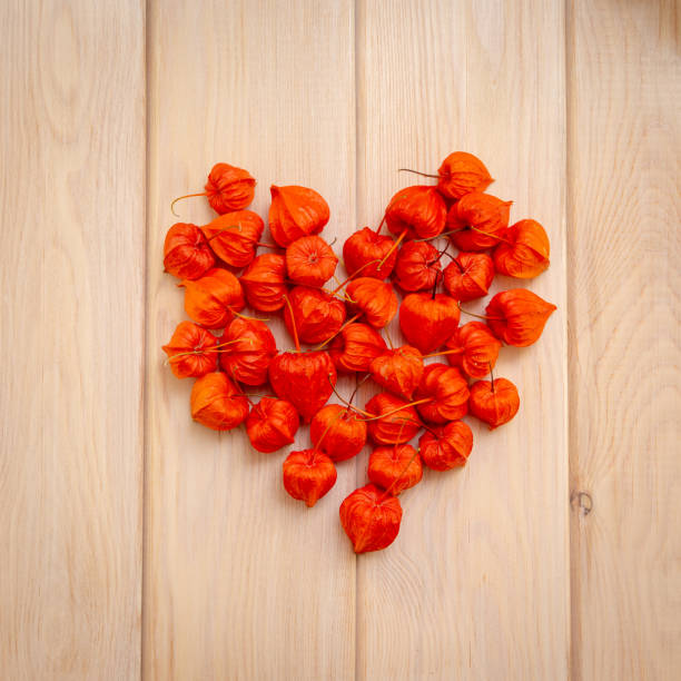 Handmade paper flowers in Autumnal/Fall colours of orange and reds
